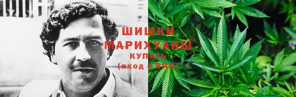 сатива Переславль-Залесский